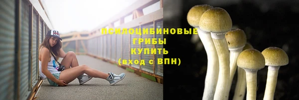трава Богородицк