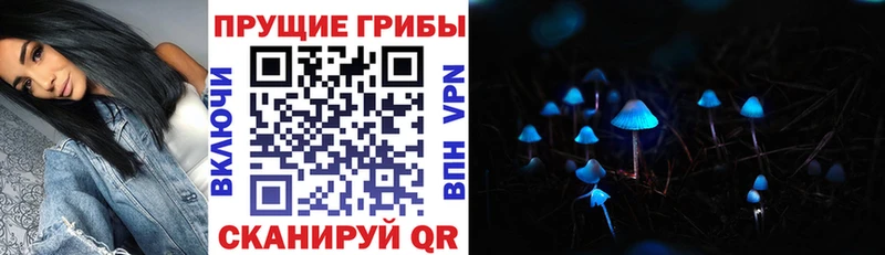 Псилоцибиновые грибы Psilocybe  Купить  Михайловка 
